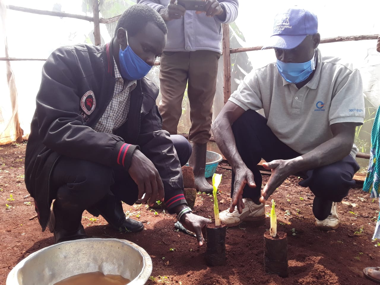 Stawi Foods agronomist, Eric Wasikoyo, trains farmers in Kisii on how to water banana plantlets.